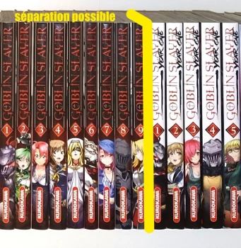 Goblin slayer : 14 tomes