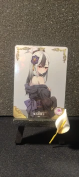 Carte Waifu, NS-10 R-13