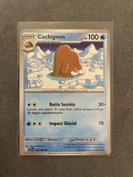 Carte Pokémon - COCHIGNON 024/094 - Flammes fantasmagoriques