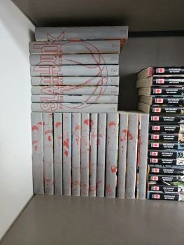 Slam Dunk - Star Edition (20 tomes)