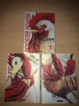 Rooster Fighter