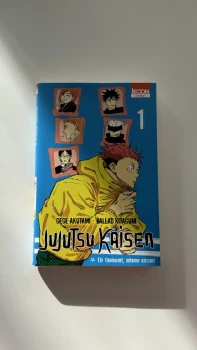 roman jujutsu kaisen tome 1