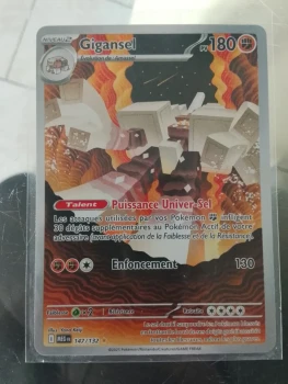 Carte Pokémon français