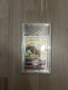 Carte dragon feux Vstar carte gardée