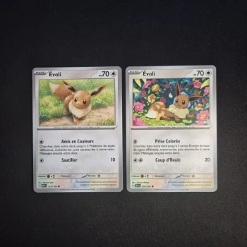 Carte Pokemon : Duo Evoli