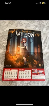 Poster les secrets des wilson