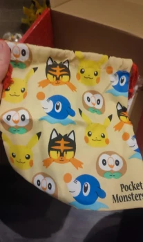 Pochette pokémon