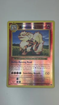 Arcanine LV.45 / Holographique