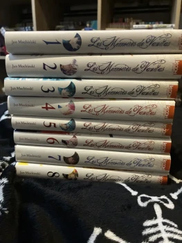 Les mémoire de vanitas