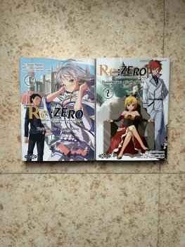 vends manga "Re Zero" tome 1 et 2