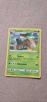 Carte Pokémon Torterra holo Épée et Bouclier