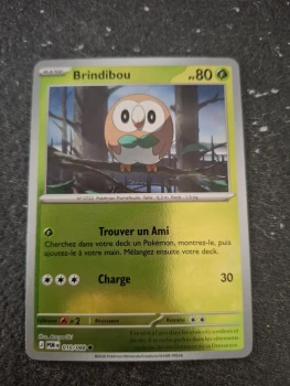 Brindibou reverse
