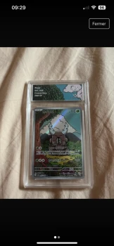 Scarabrute 067/066 AR Gradée 9.5