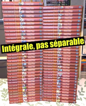 Fairy tail : 1 à 63 (intégrale)