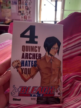 Manga bleach