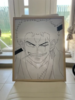 Tableau zoro
