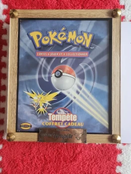 Lot Pokémon pour échange
