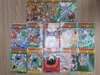 13 Tomes Saint seiya !