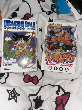Tome 1 de naruto et dragon ball