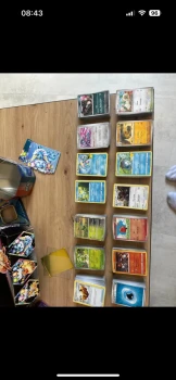 Lot cartes Pokémon