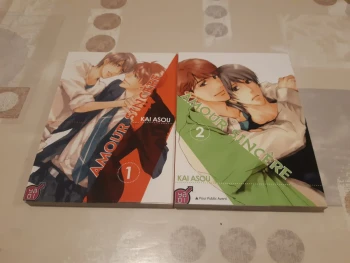Lot yaoi - amour sincere - tomes 1 et 2