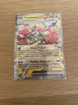 carte de triopikeau