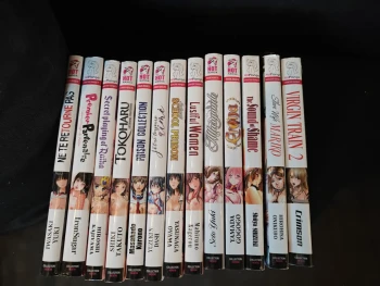 Lot de 13 manga Hentai