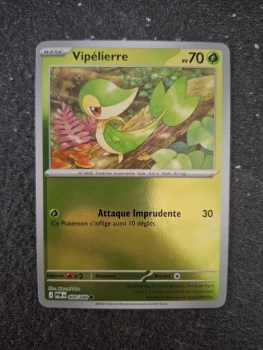 Vipélierre reverse