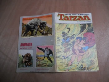 Tarzan N°60 La Reine Des Touareg Sagedition 04/1977