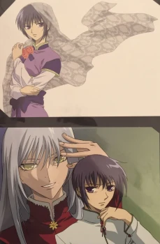 Carte Manga Shojo Fruits Basket Delcourt Collection
