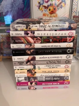 Gros lot de 13 manga Yaoi