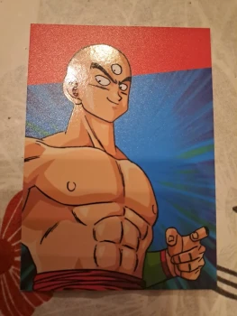 D47 dragonball universal collection panini