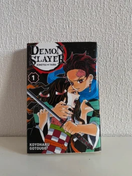 Demon slayer: tome 1