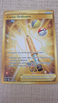 Carte Pokémon Canne Ordinaire