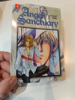 Angel Sanctuary tome 04