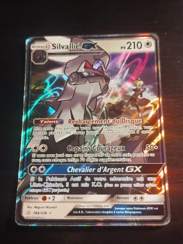 Silvallié GX série 184/236