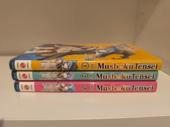 Mushoku tensei Roxy 1 à 3