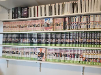 Intégral manga Bleach