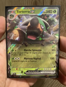 Torterra Ex 012/162