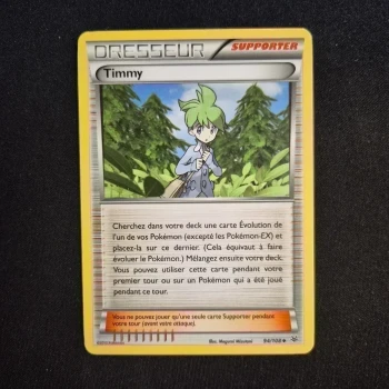 Carte Pokemon : Timmy - Ciel Rugissant
