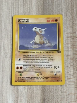 Osselait