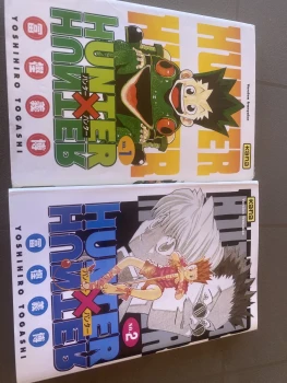 Lot de deux manga Hunter X hunter