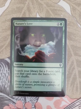 Magic: The Gathering 2022 Nature's Lore 244 Battle for Baldur's Gate Foil English