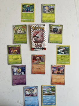 Carte Pokémon