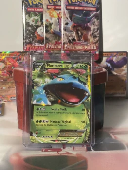 Carte Pokémon -Florizarre Ex 1/146