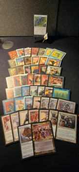 Gros lot d’anciennes cartes Magic