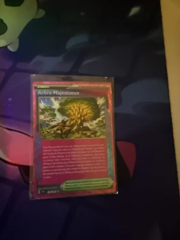 Arbre Majestueux 136/142 Couronne stellaire