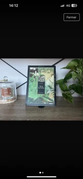 Le Livre des Sorcières