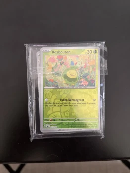 Booster Mystère 10 cartes - Full Holo/Reverse