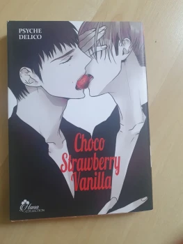 Choco Strawberry Vanilla